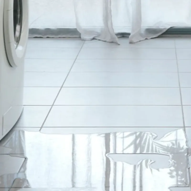 Appliance Leak Cleanup in Hoquiam, WA